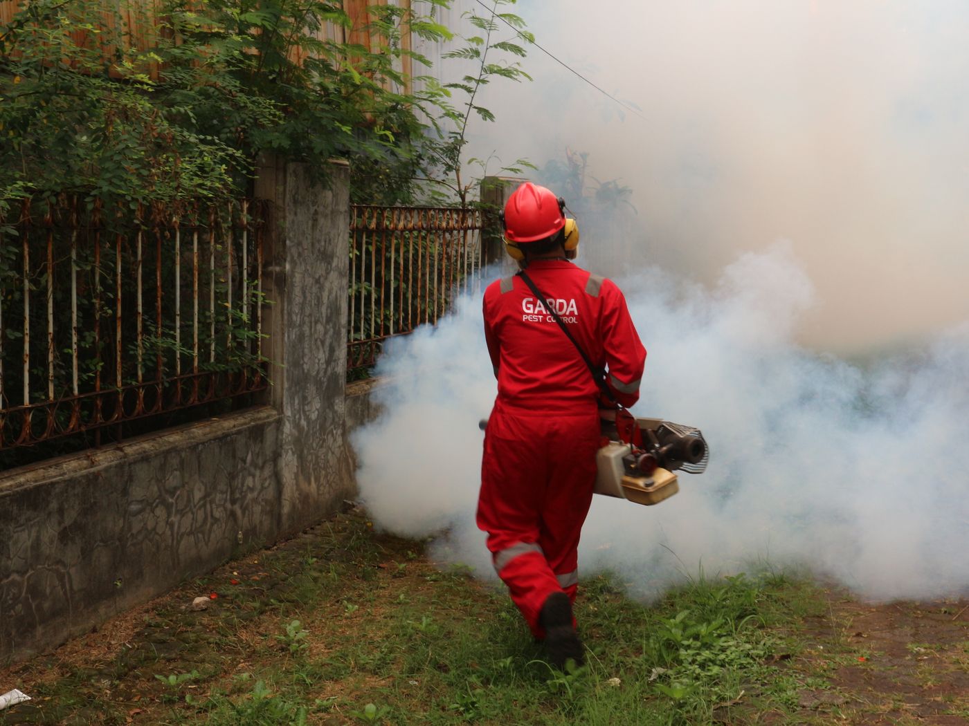 Odorless & Safe Home Pest Control Services